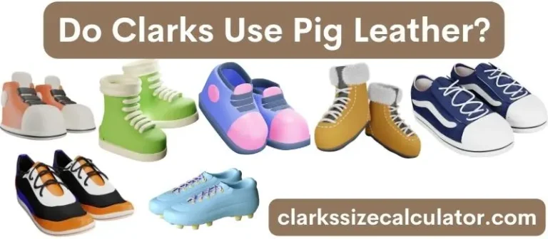 Do Clarks Use Pig Leather?
