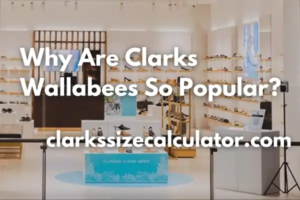 Why Are Clarks Wallabees So Popular?