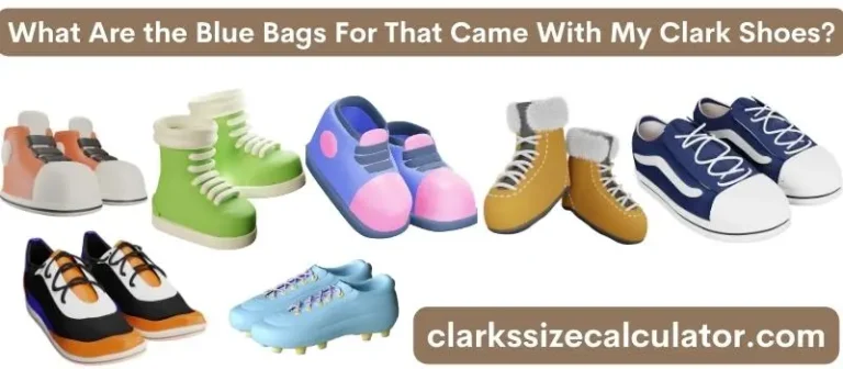 What Are the Blue Bags For That Came With My Clark Shoes?