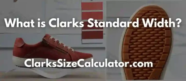 What is Clarks Standard Width